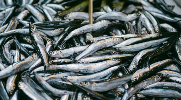 Les incroyables bienfaits de l'hypnose pour votre bien-être